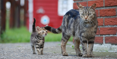 CQM in der Familie: Mutter und Tochter (Quelle flickr.com @Fundraisingnetz) CQM in der Familie: Mutter und Tochter (Quelle flickr.com @Fundraisingnetz)