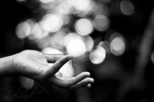 CQM: Das Leben auf den Kopf gestellt (Quelle flickr.com Lel4nd)